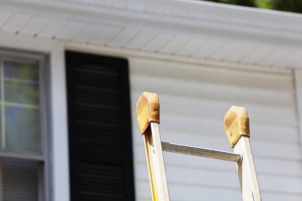 Best Custom Trim and Detailing for Siding  in Powell, TN