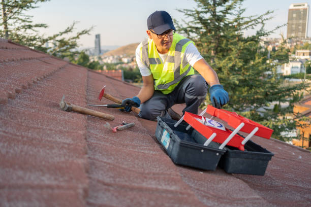 Best Historical Building Siding Restoration  in Powell, TN